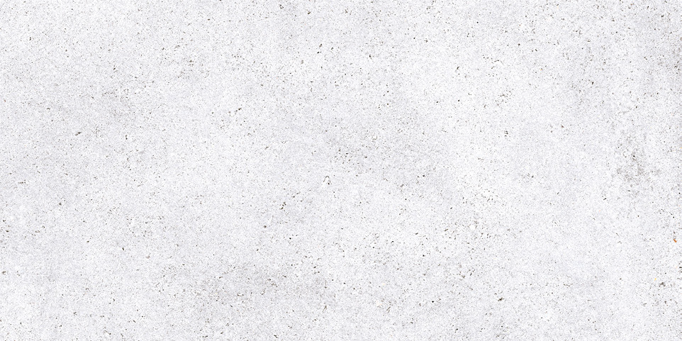 NR212 Nemo White 60x120 PrimaVera