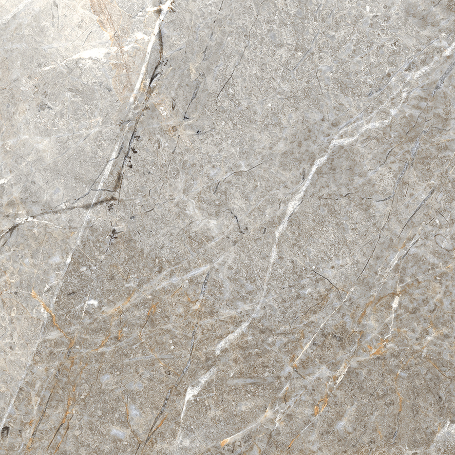 Fantastico Grey Granito Полированный 60х60 Laparet