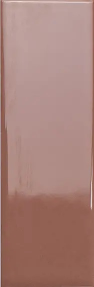 132997 Bits Chestnut Gloss 3,7x11,6 WOW