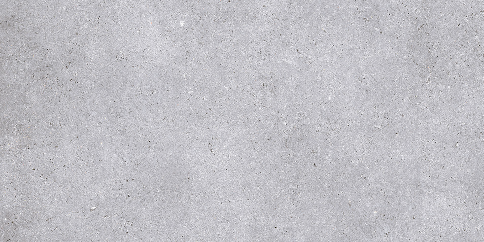 NR211 Nemo Light Grey 60x120 PrimaVera