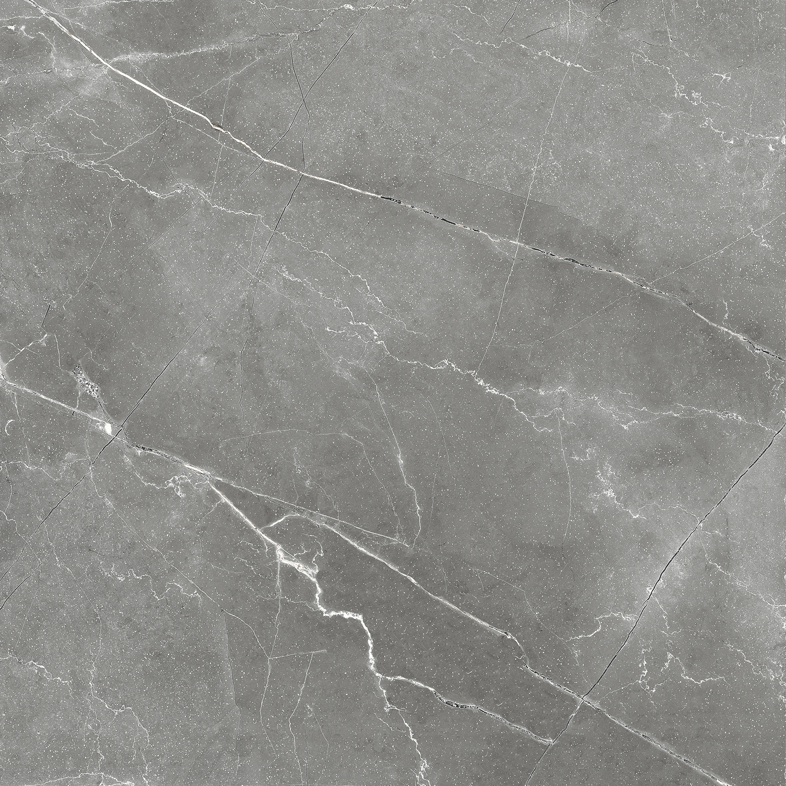 CR6011-A Pulpis Nero Carving 60x60 Arcadia Ceramica фото 10