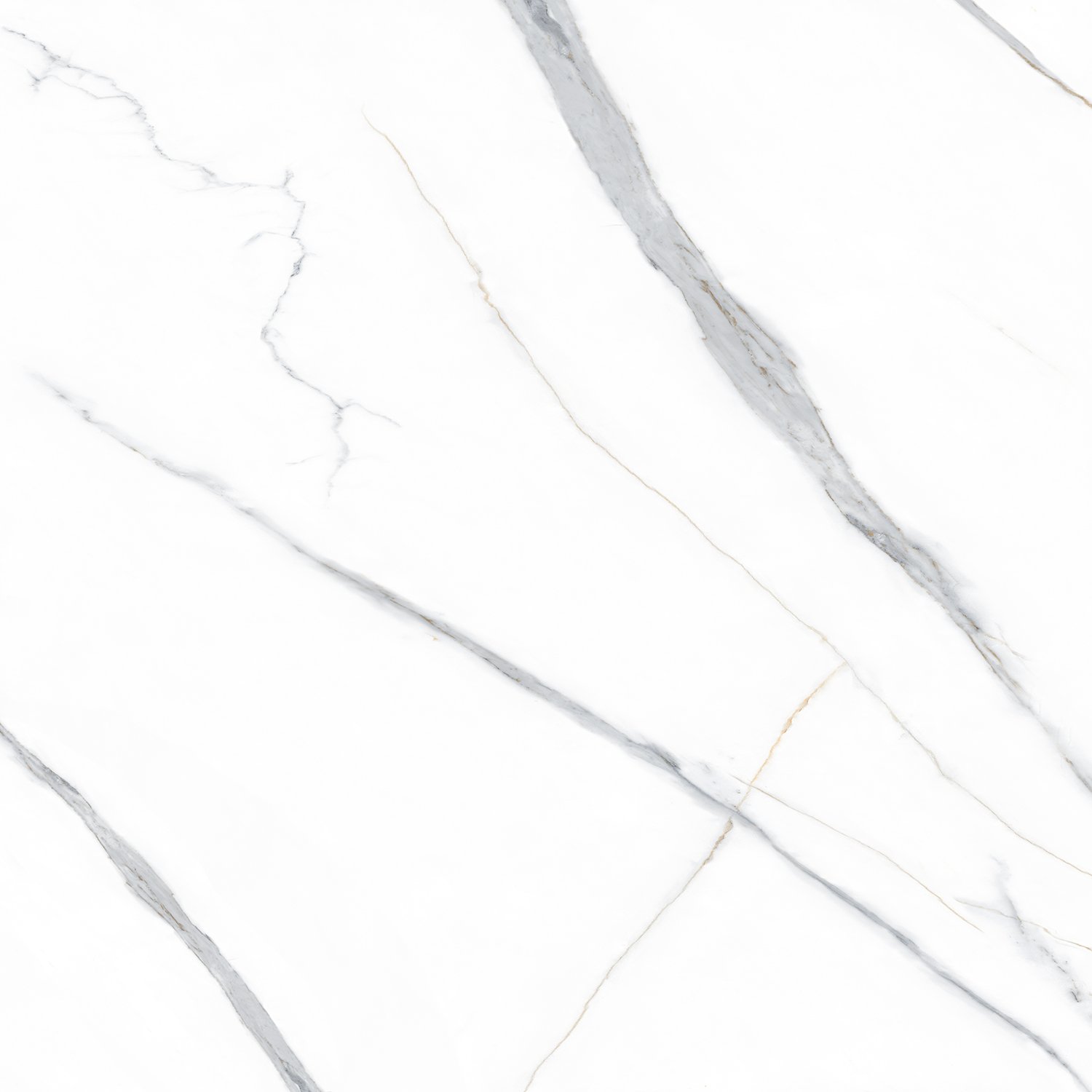 Statuario Gold PGVT 60x60 Casati Ceramica