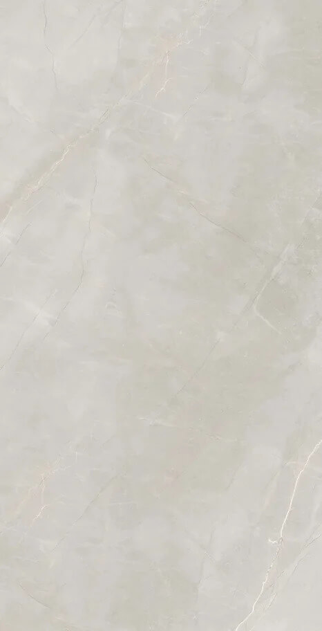 Marble Royalish Grey 120x60 Artcer