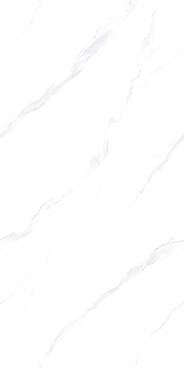ZA-L12614 Lande PR 1200x600x9 Vizavi фото 2