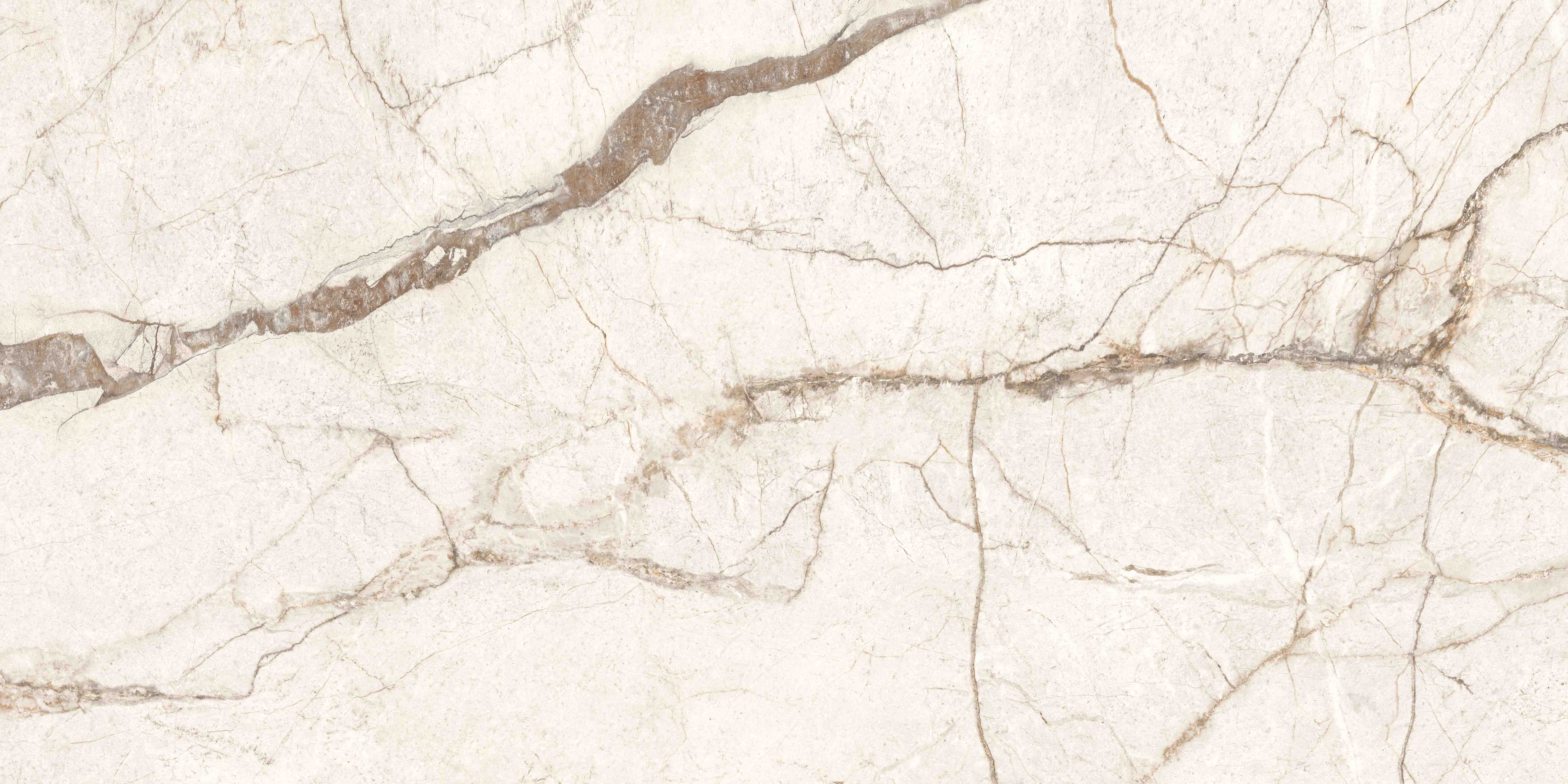 K958001R0001VTER SilverRoot Слоновая Кость Матовый R10A Ректификат 60x120 Vitra фото 4