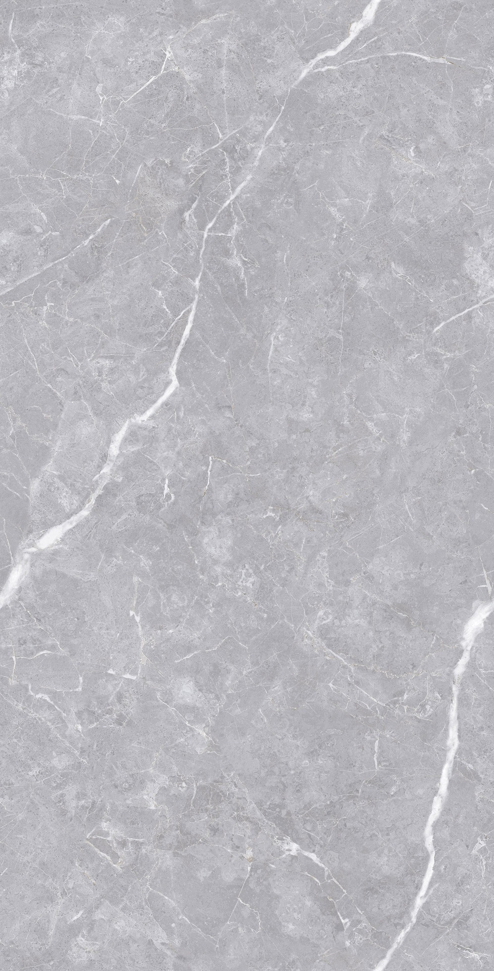 Luanda Polished Silver Carving 60x120 Realistik фото 3