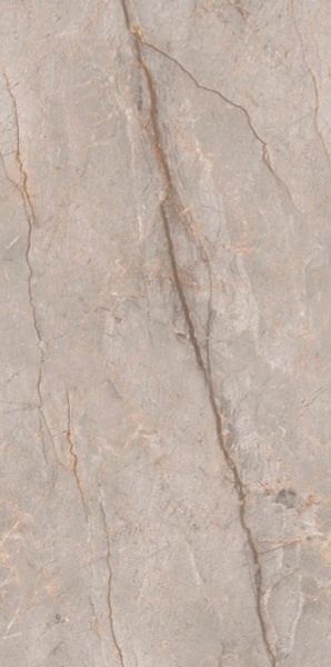 Monaco Grey carving 60x120 Leopard
