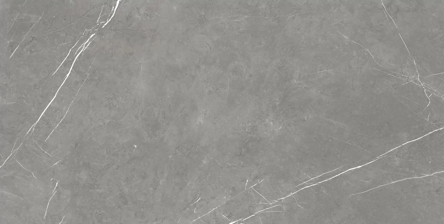 610010002710 Forte dei Marmi Elegant Grey Rett 80x160 Atlas Concorde Russia