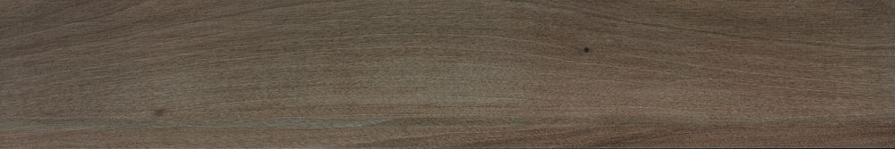 NUANCES ULIVO 15X90 RT FAP Ceramiche