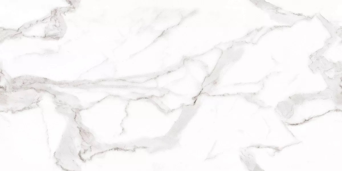 Venato Bianco Glossy 60x120 Art Ceramic