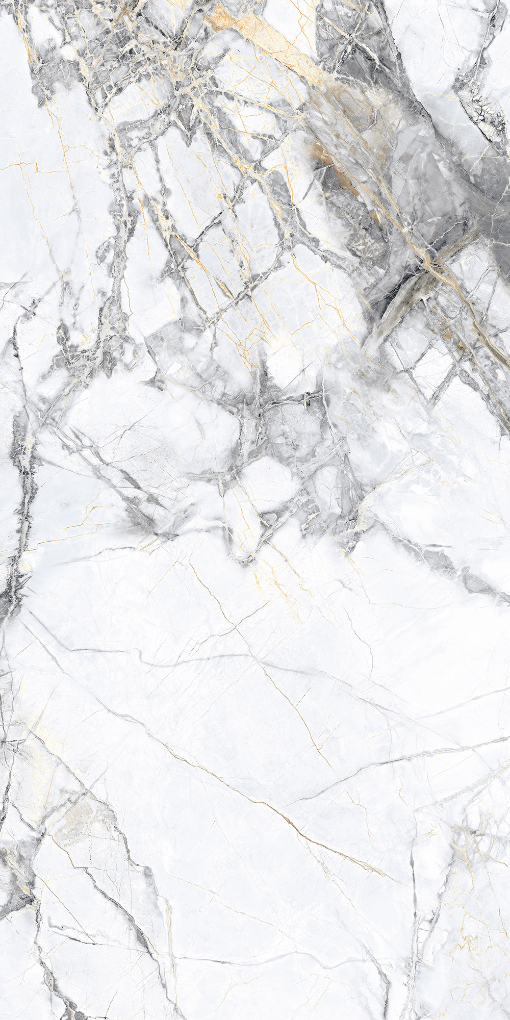 CL4008-A Malta Bianco Carving Lappato 60x120 Arcadia Ceramica
