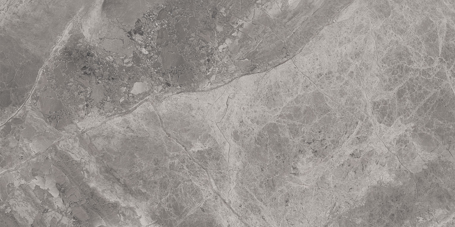 75382 Supreme Silver Rettificato 60x120 Cerdomus фото 6