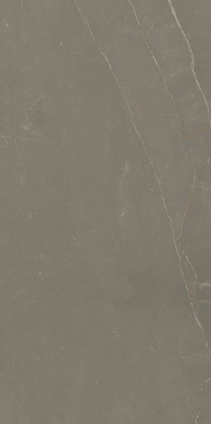Linearstone Taupe 59.8x119.8 Paradyz