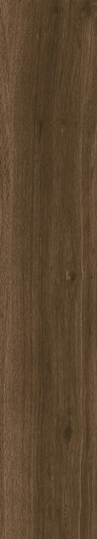 2183 Parma Brown Matt 120x20 Artcer