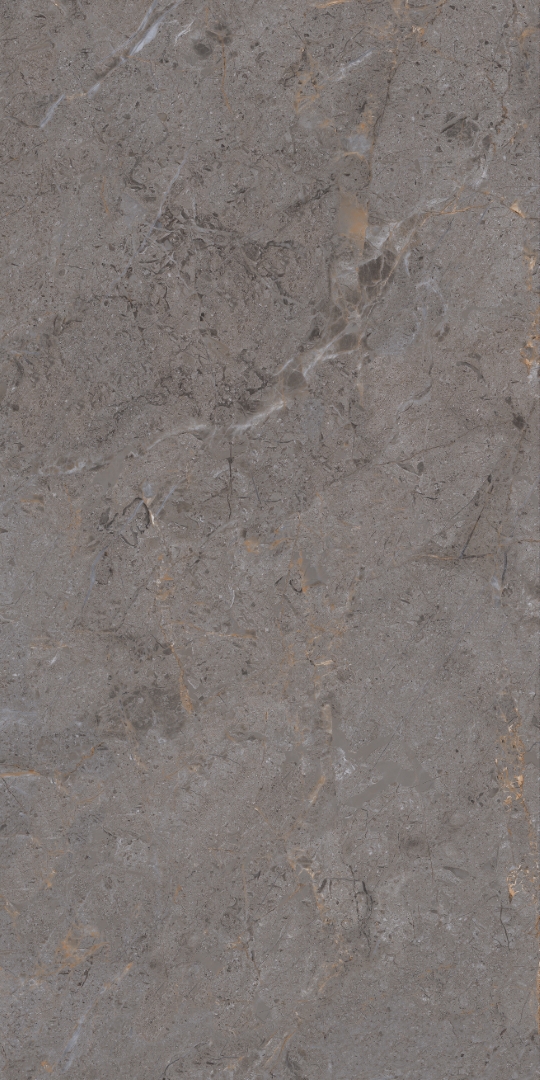 PT12P7057 Verona Pol 1200х600х9 Protiles