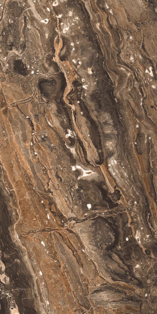 GR204 Richter Brown High glossy 600x1200 PrimaVera