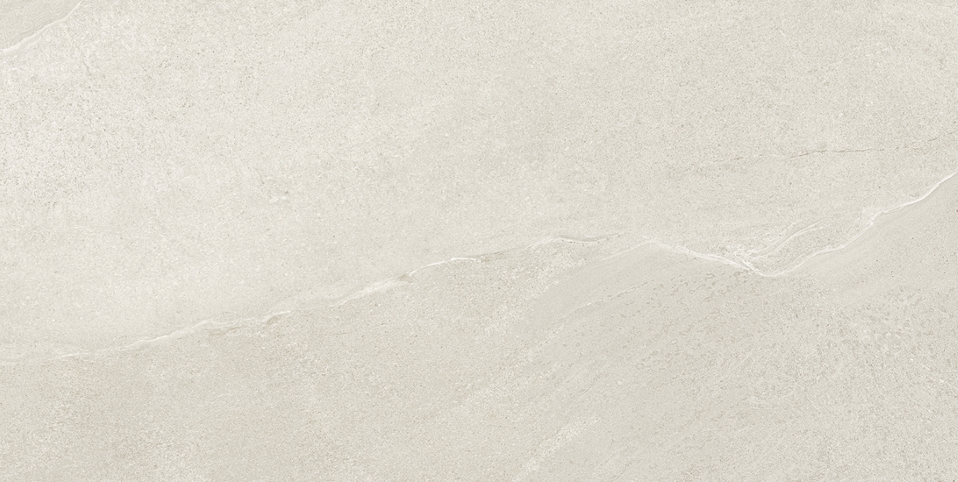 Eddystone Blanco Matt 60x120 Geotiles