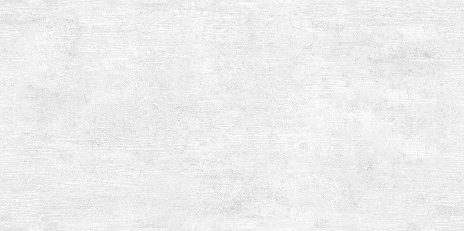 WT9BTN00 Beton Gray 24.9х50 AltaCera