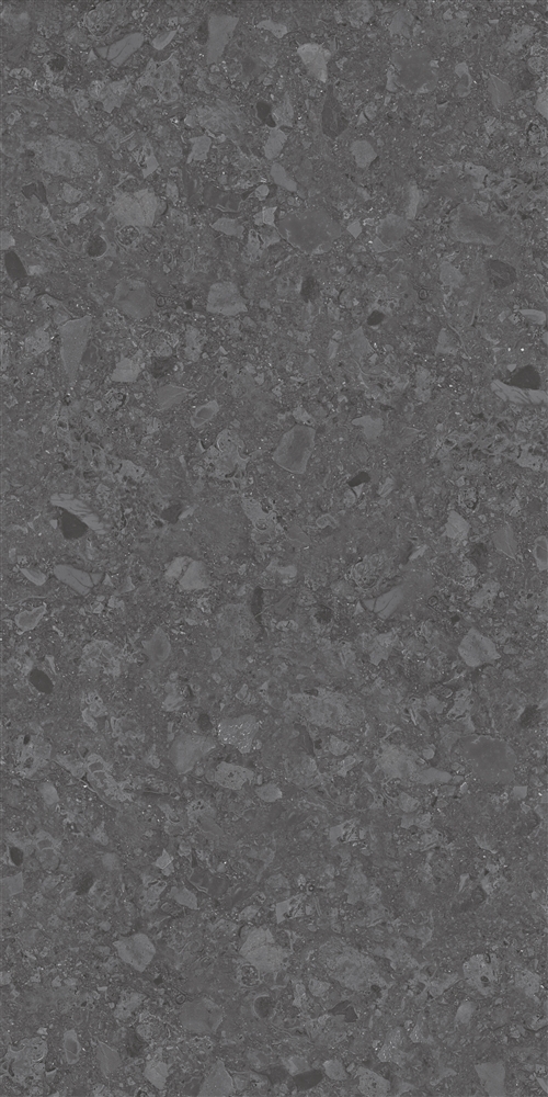469 Stone Dark Grey 60x120 Eurotile Ceramica
