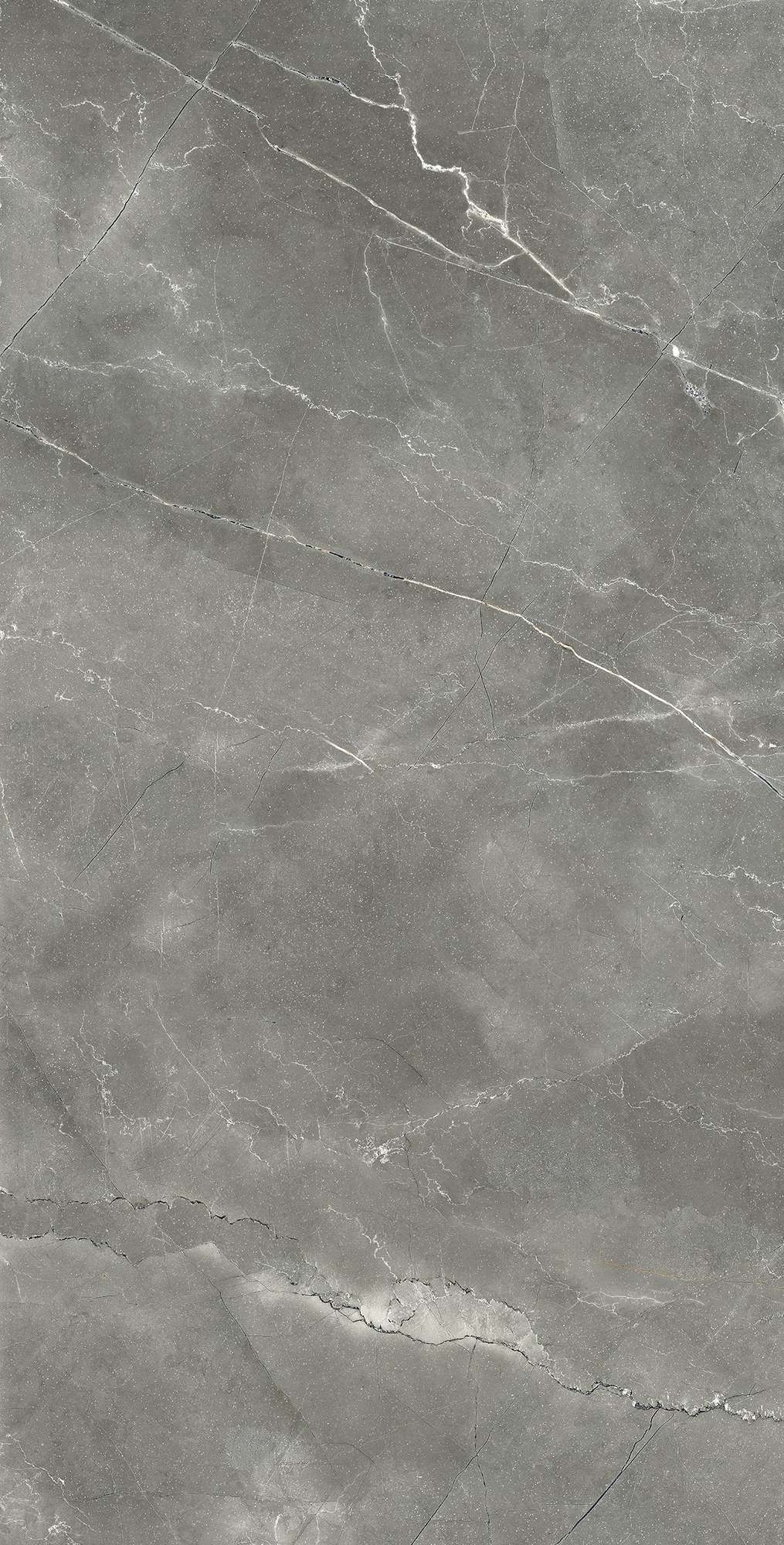 CR4002-A Pulpis Nero Carving 60x120 Arcadia Ceramica