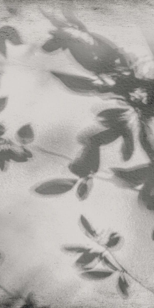 PF60012582 Art Walls Shadow Nat R 60x120 Flaviker