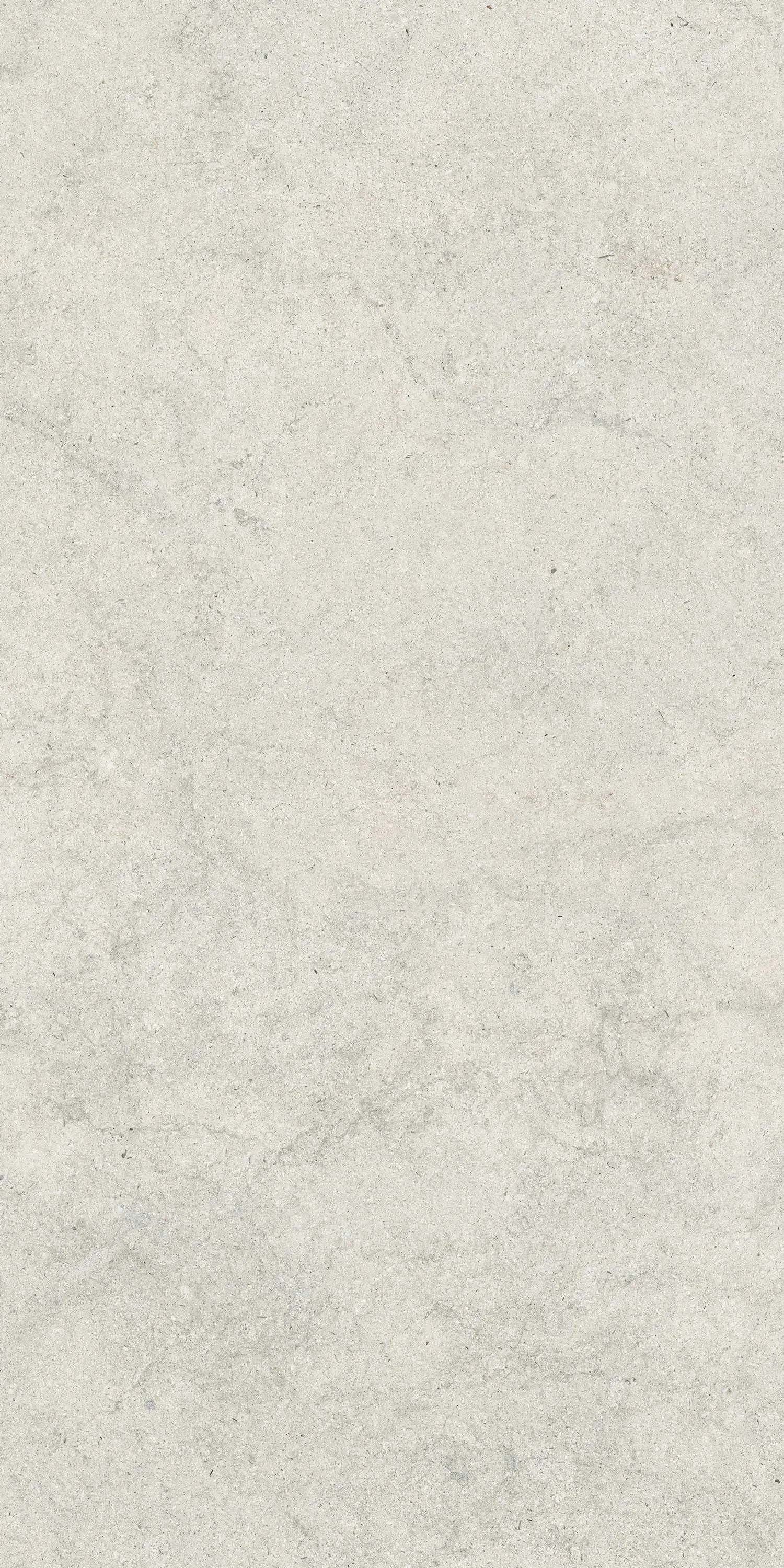 610010004073 Саленто Уайт Рет 60x120 ColiseumGres фото 6