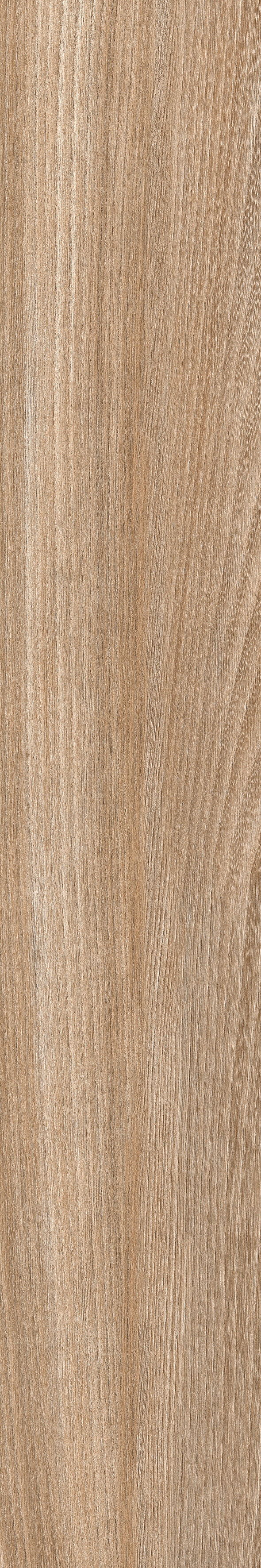 Poeme Brandy 120x20 Keraben фото 8