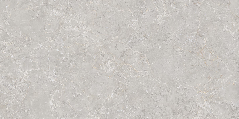 Belvedere Forest Paper Matt 59,8x119,8 Simpolo Ceramics