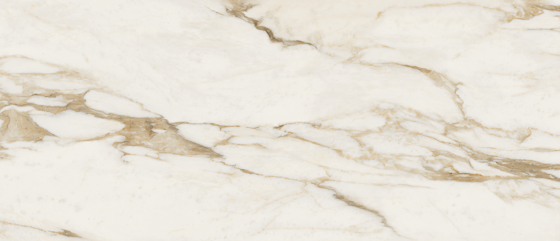 G67502 Calacatta Bright Lux R 120x280 Versace (Gardenia Orchidea) фото 2
