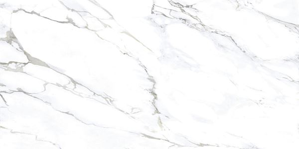 Monster White 80x160 Gravita