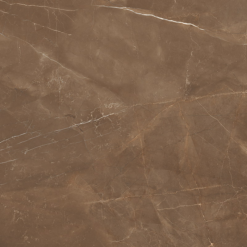 Armani Brown Satin 60x60 Colortile
