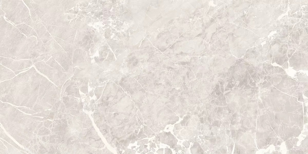 Extra Silver Matt 60x120 Art Ceramic