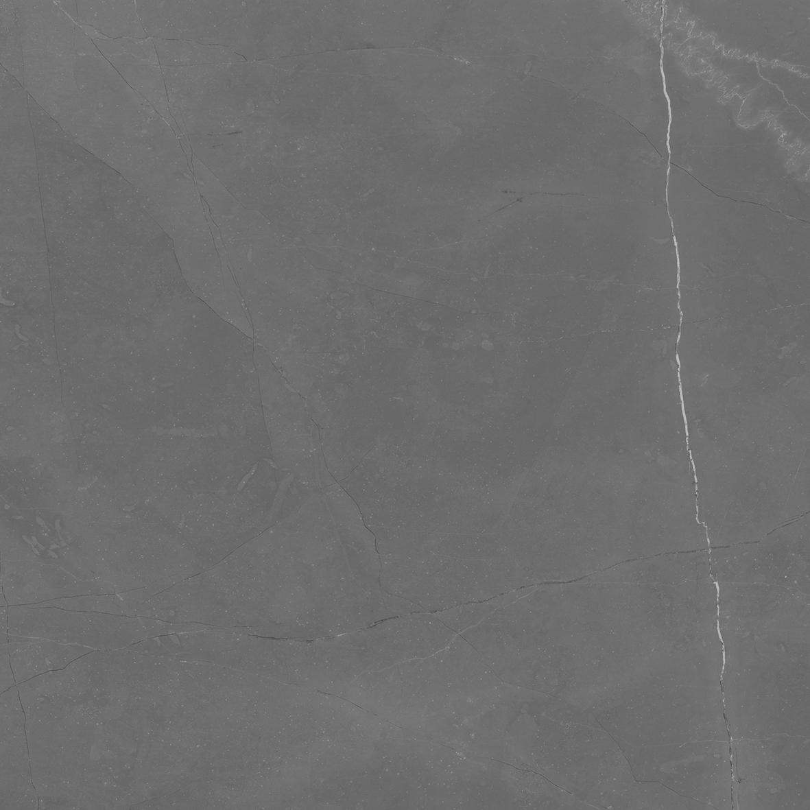 LM 0069 Lima серый 60х60 Ceradim