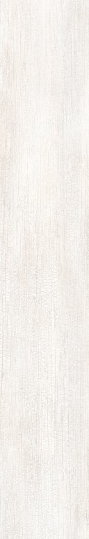 0502111 TWS Wood Blanc Nat RT 20x120 Roberto Cavalli