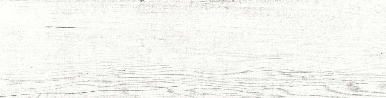 ZA 0005 ZARINA 60х15х08 Eurotile Ceramica