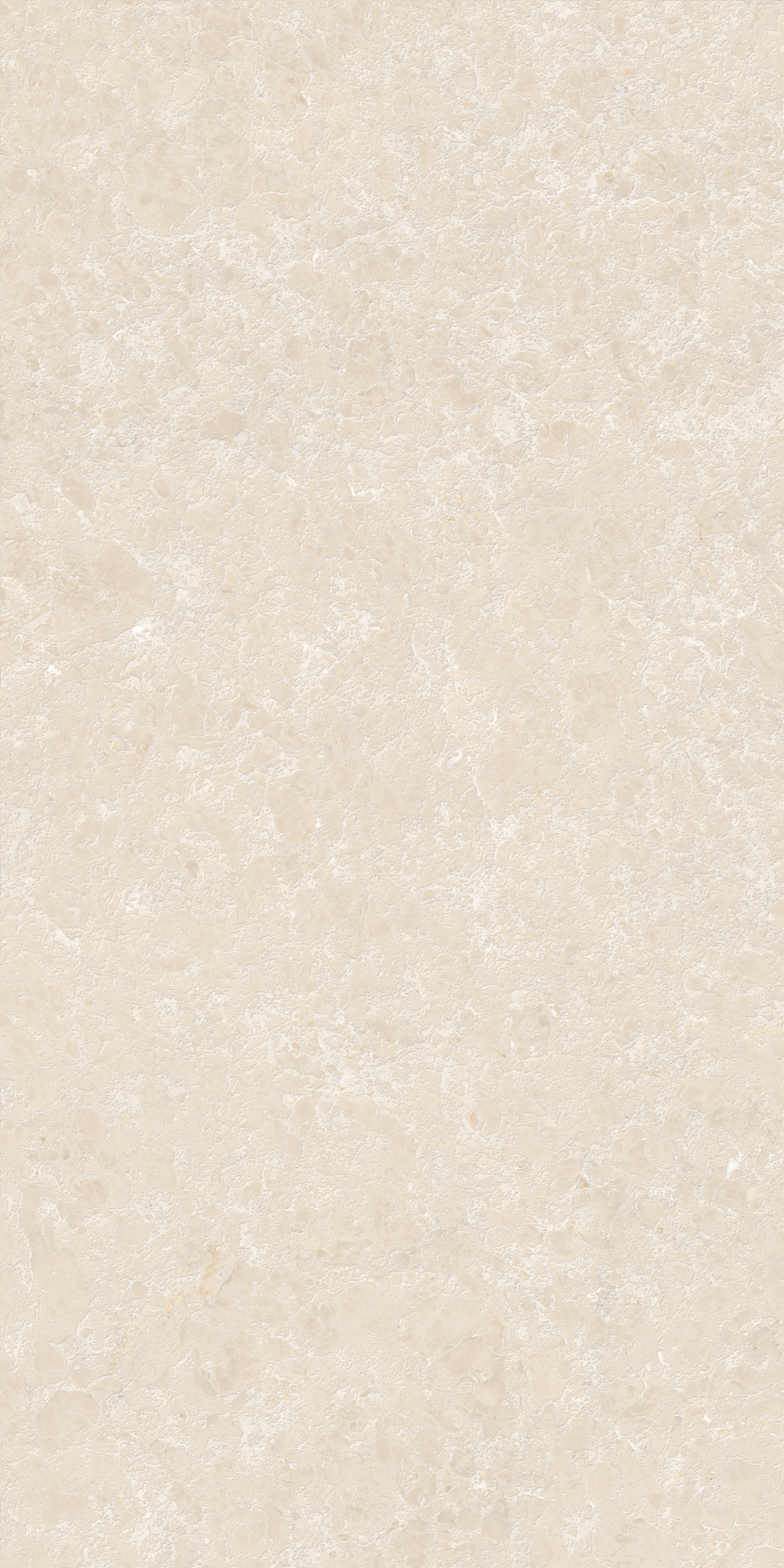 GT1206025402M3GR Shell Бежевый 3D граниль 60x120 Global Tile фото 13