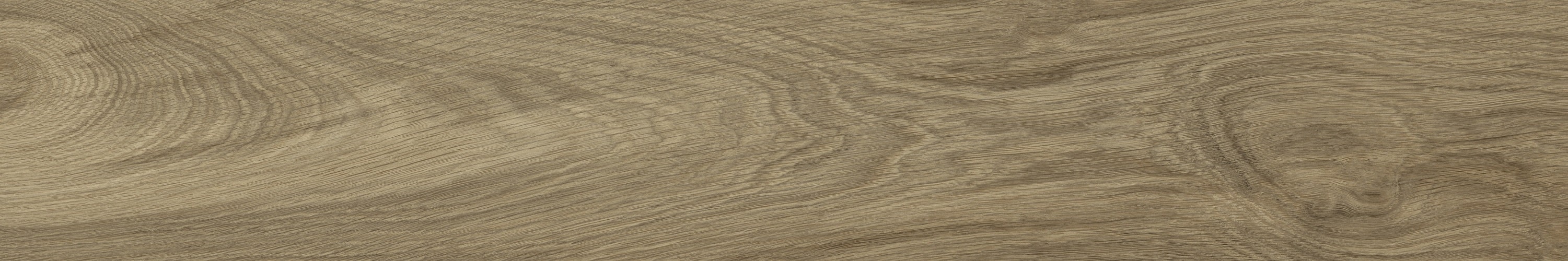 WD106 Branch Taupe 20x120 PrimaVera