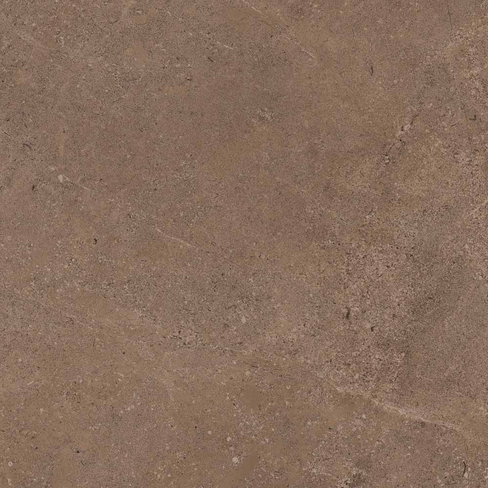 GO02 Gobi Dark Beige Неполированный Рект. 60x60x9 Estima фото 6