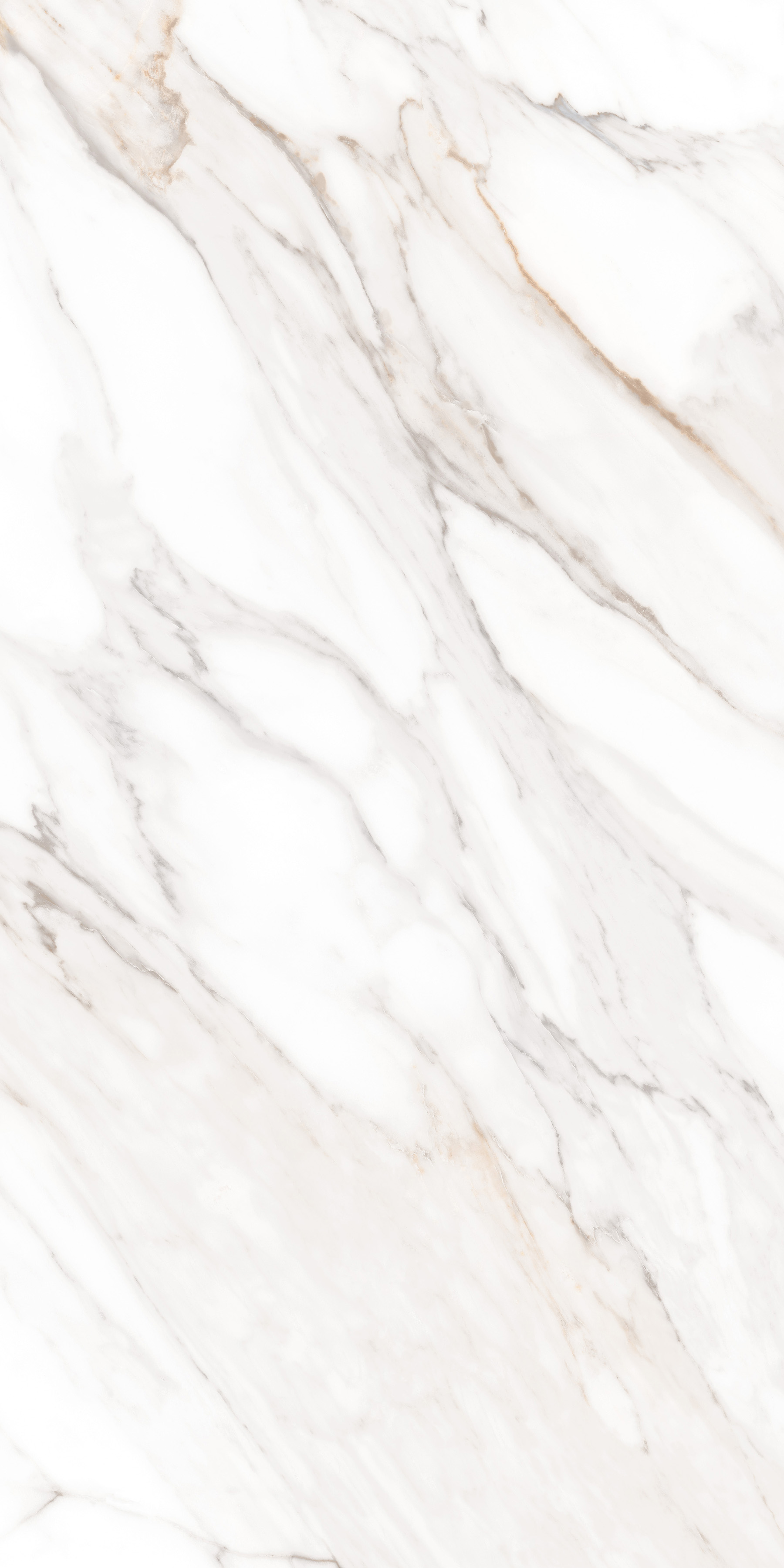 MPL-058631 Calacatta Gold Polished 60x120 Creto