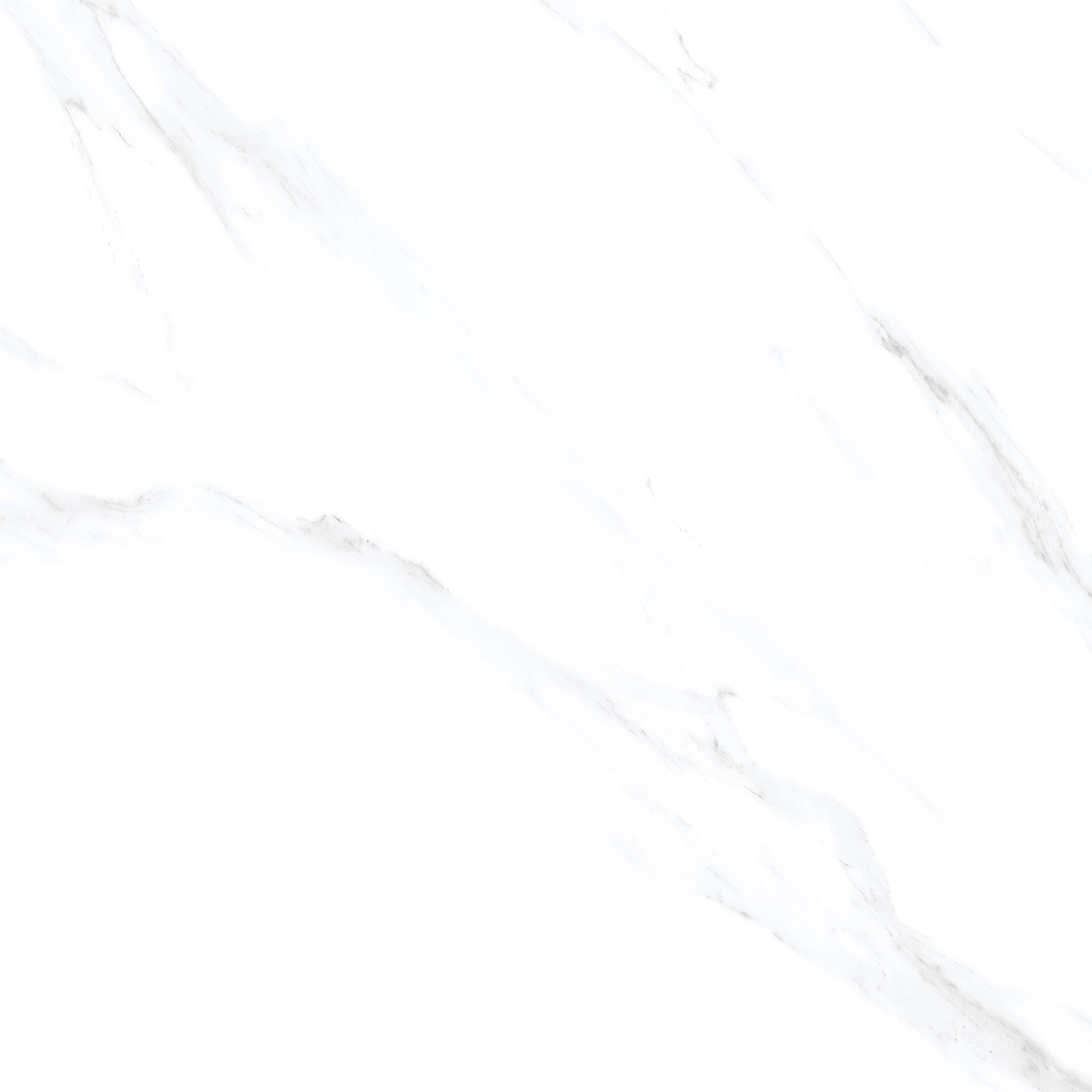 Statuario Venezia Glossy 60x60 Modern Tile