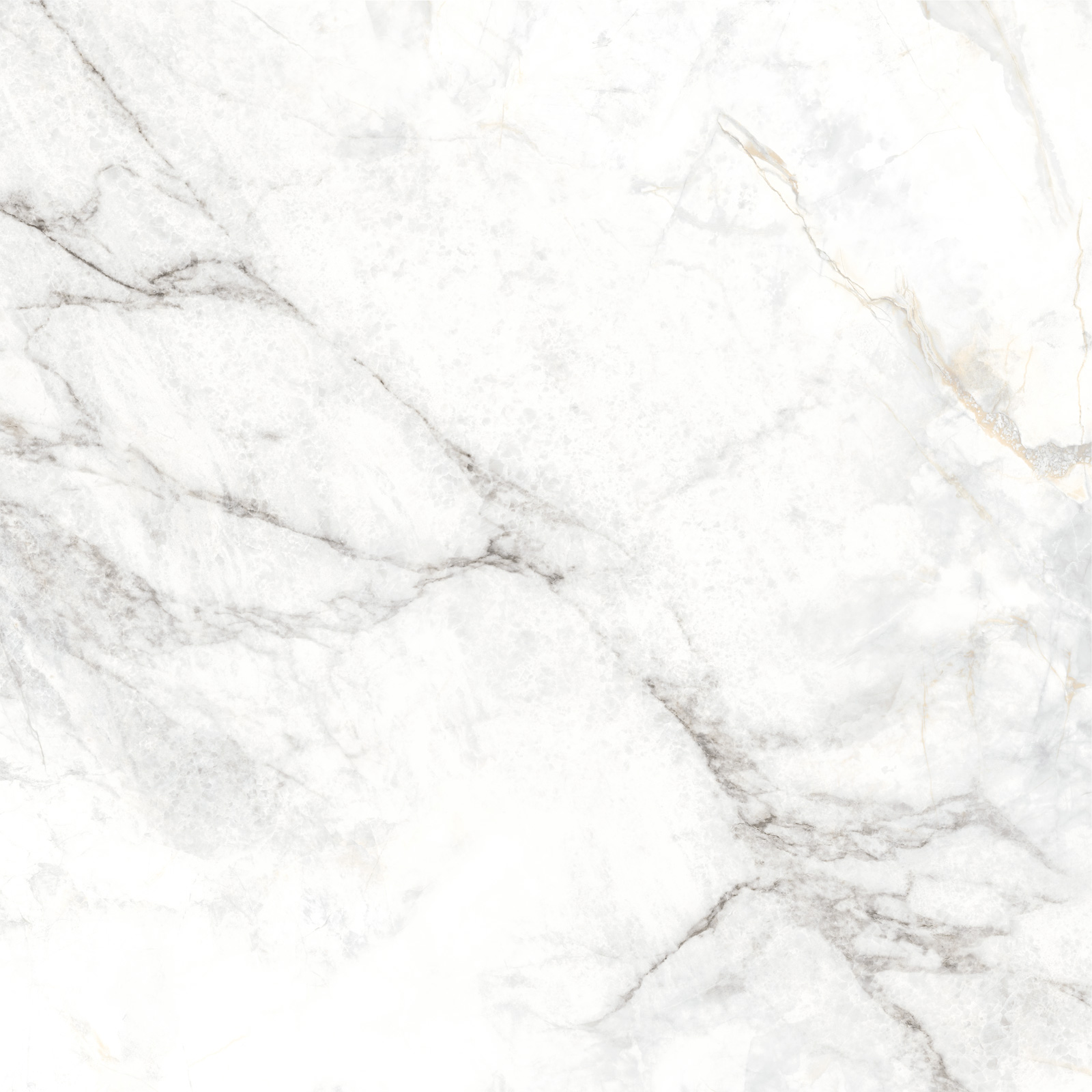 D60242M Bahamas Carrara матовый 600x600x9.5 New Trend