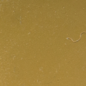 GR 01G Gold 1.5x1.5 32.7x32.7 ROSE MOSAIC