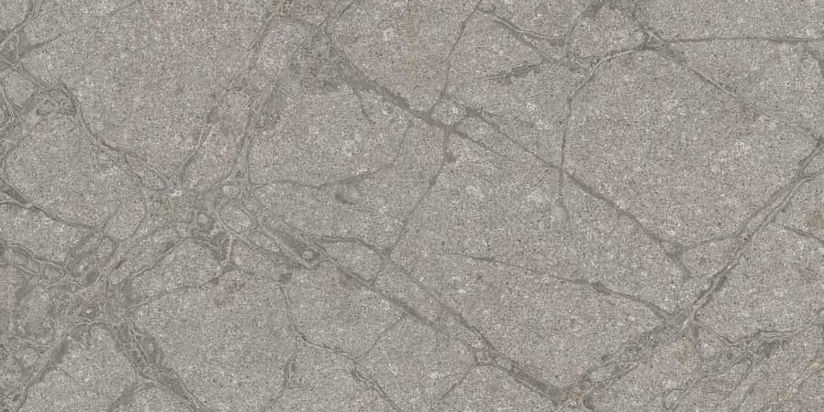 PF60011858 Supreme Memories Grey Soapstone Ant Ret 60x120 Flaviker
