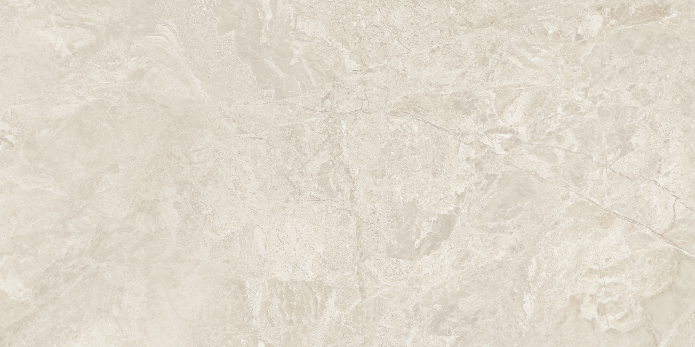Canyon Bone Rect 60x120 Baldocer