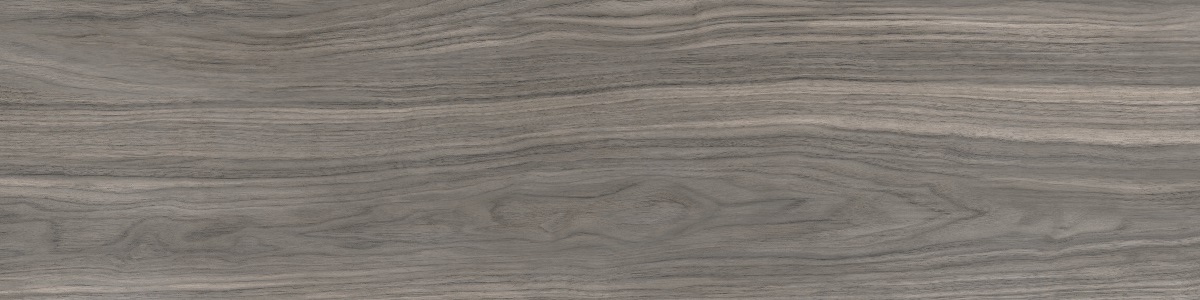 WD12 Forest Grey 20x80 PrimaVera