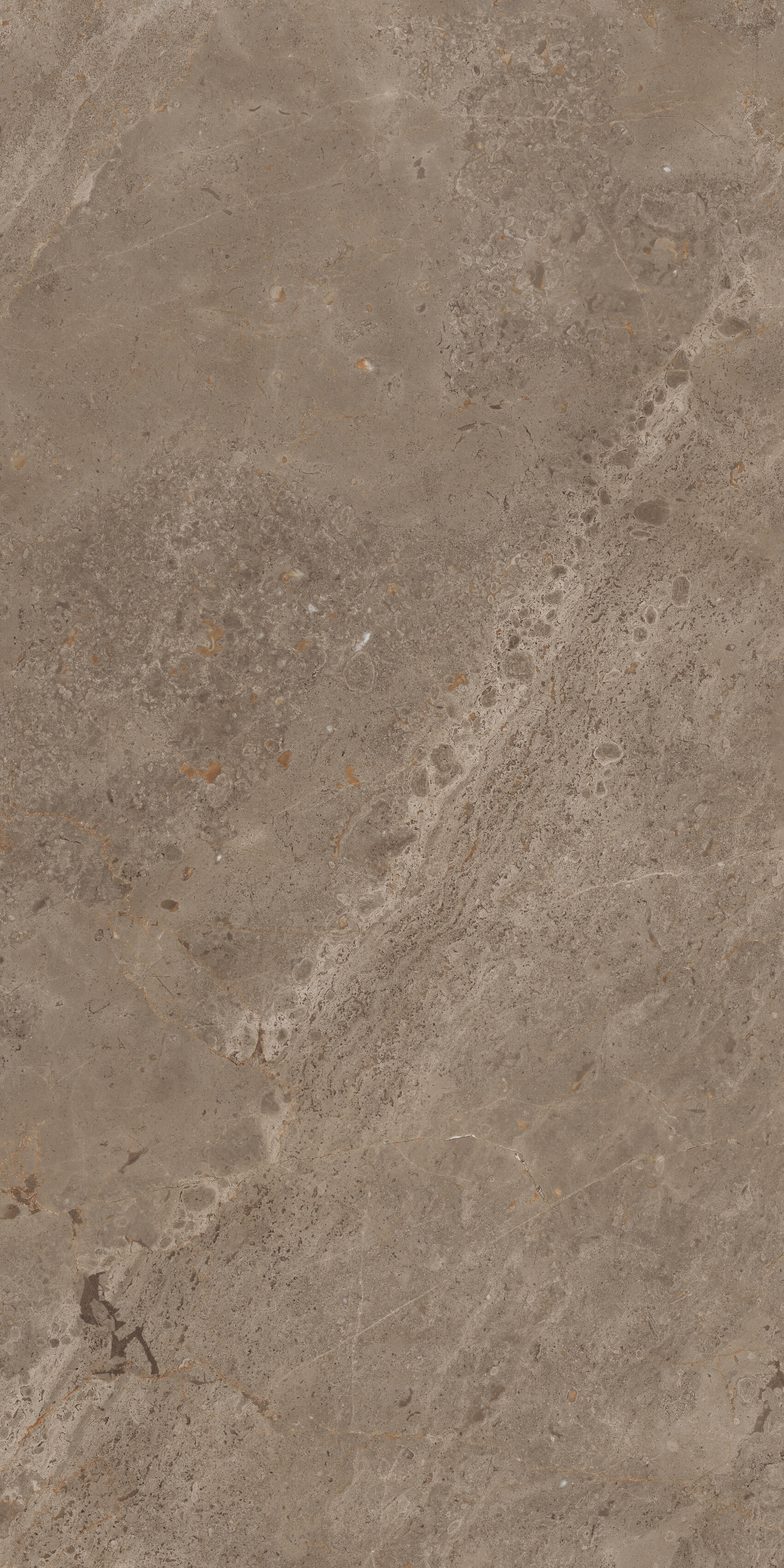 914 Luish Brown 120x60 Artcer
