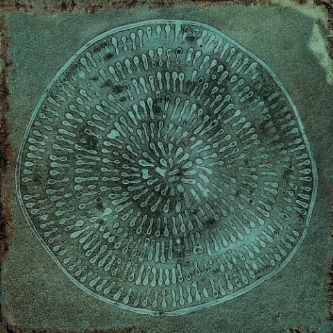 Carlo Jade-B 20x20 VIVES