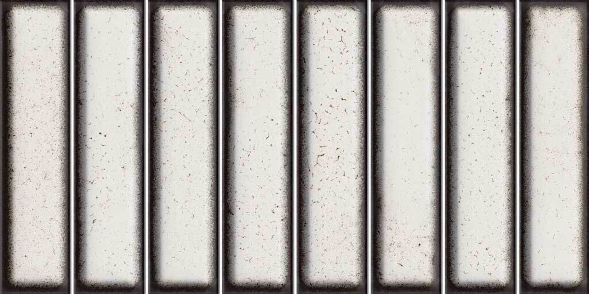 Domino Blanco Glossy 15x30 El Barco фото 17