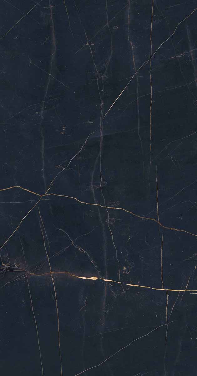 PF60011003 Precious Black Lux Ret 60x120 ABK