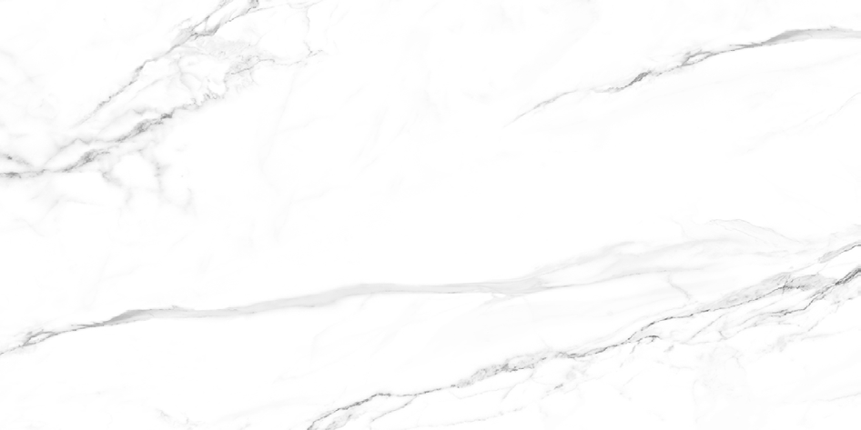 NR208 Milos White 60x120 PrimaVera